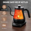 Tea Kettle for Coffee Brewing, Electric, Gooseneck Kettle, Temp Control, 5 Presets; 1200W Rapid Heat